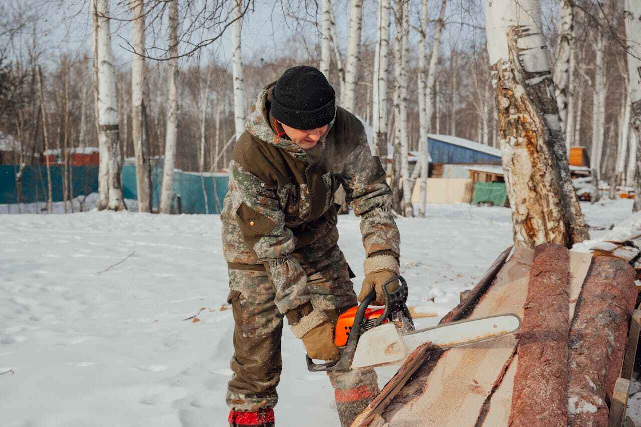 Best Tree Removal Near Me  in St Cloud, FL